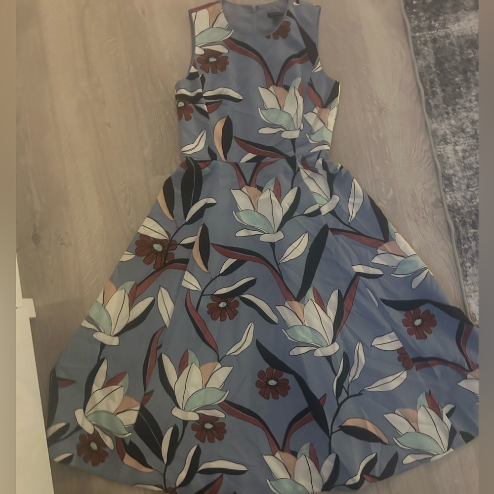 Ann Taylor dress
